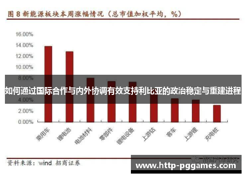 如何通过国际合作与内外协调有效支持利比亚的政治稳定与重建进程