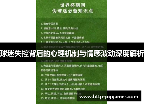 球迷失控背后的心理机制与情感波动深度解析